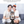 Load image into Gallery viewer, 360° Face Tracking Gimbal
